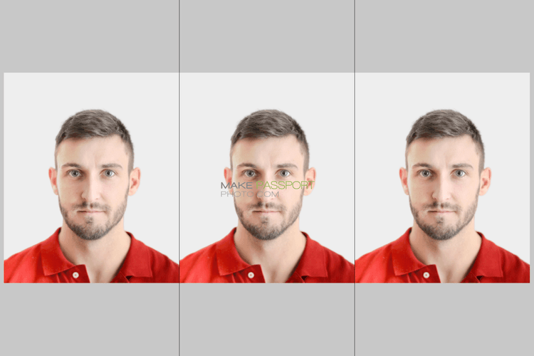 Moldova Work and residence permit sample photo