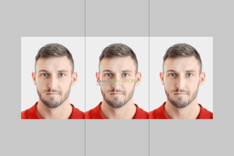 Poland ID card online sample photo