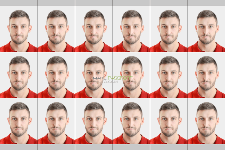 United Arab Emirates Visa online Emirates.com sample photo