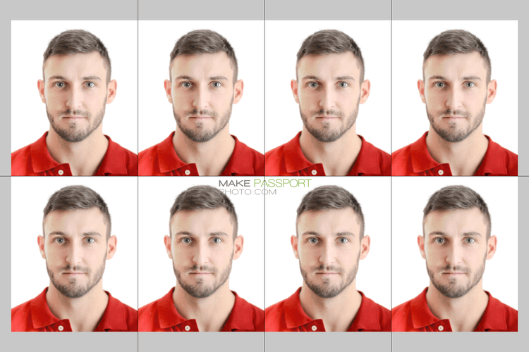 Brazil Passport online sample photo